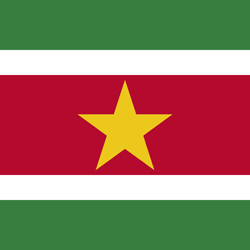 Cover van HET VOLKSLIED VAN SURINAME van Amerencio Snelle Liedjes Even op Sranan poku